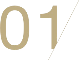 01